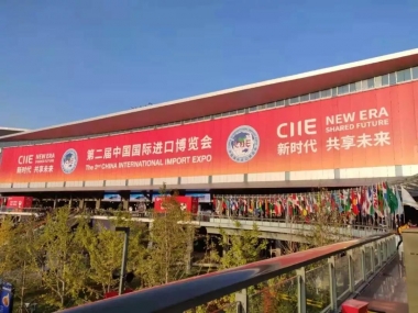 磐燁制造閃耀第二屆進博會